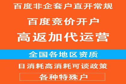 SEO关键词优化：某品牌逆袭的案例解析